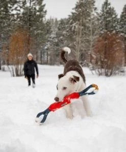 Ruffwear™ Pacific Loop™ Toy - Sockeye Red -SUNFLOW Shop 03efc68dcbba08e6ddfb1d1cdc41fd05 11123.1669784568