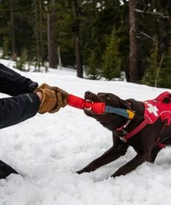Ruffwear™ Pacific Loop™ Toy - Sockeye Red -SUNFLOW Shop 19c7a121141bb67e1f600b2d0185130a 23363.1669784564