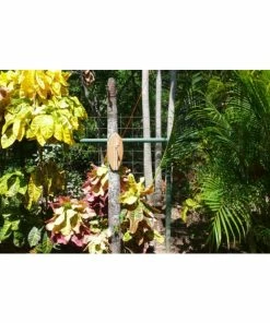 Tiki Toss® Game - Surf Edition -SUNFLOW Shop 2e73f9ab0d458943a0a7fec8e7449bfe 43891.1669752532