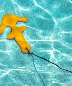 Pool Candy Poolcandy Pool Raft Anchor 6 Pool Candy Poolcandy Pool Raft Anchor -SUNFLOW Shop 34ebe48e83d10368769c7c65406e8289 36579.1669771599