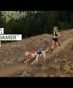 Ruffwear™ Roamer™ Bungee Dog Leash - Granite Gray - 7.3 Ft - 11 Ft -SUNFLOW Shop 3973cd6798c0c3c781986d7367e5e98e 88277.1669784656