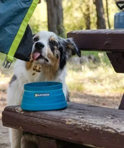Ruffwear™ Bivy™ Collapsible Dog Bowl - Blue Spring -SUNFLOW Shop 4ea22b6f6018fd08adab172665d8716a 37314.1669784620