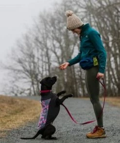 Ruffwear™ Home Trail™ Hip Pack -SUNFLOW Shop 54a74884c79a1c10fc27acd6bdfeb985 26369.1669784757