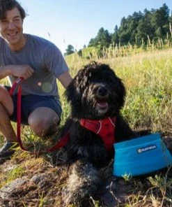 Ruffwear™ Bivy™ Collapsible Dog Bowl - Blue Spring -SUNFLOW Shop 54c17d9afeec81fd82287648fd311698 99751.1669784616