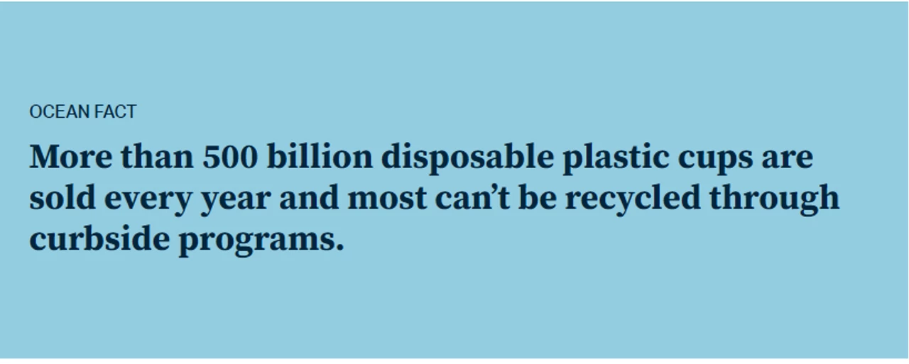 4ocean Reusable Stainless Steel Cups - 4 Pack 5 4ocean Reusable Stainless Steel Cups - 4 Pack - Image 5