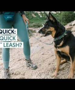 Ruffwear™ Quick Draw™ Leash - Granite Gray -SUNFLOW Shop 6155a58bdee3a441a46f9459b9002333 84861.1669784676