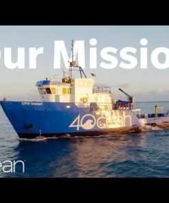 4ocean Reusable Stainless Steel Cups - 4 Pack 8 4ocean Reusable Stainless Steel Cups - 4 Pack -SUNFLOW Shop 9bf4dc30e10c272cf22326c0798f40bc 27514.1669778071