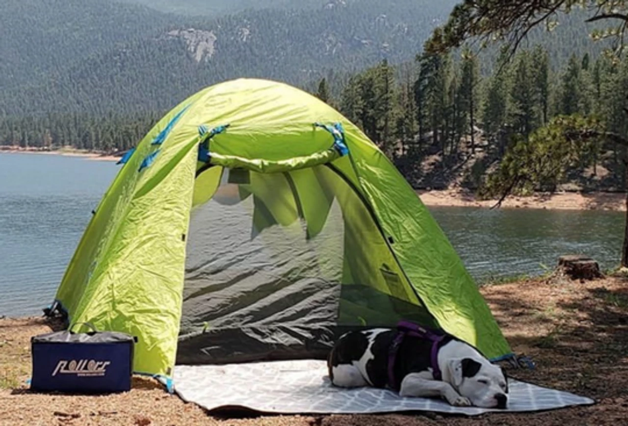 Rollors Lawn & Beach Game 4 Rollors Lawn & Beach Game - Image 4