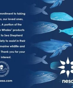 Neso Chair -SUNFLOW Shop b97f3057deafcce41acce95b4de019d2 86157.1669775366