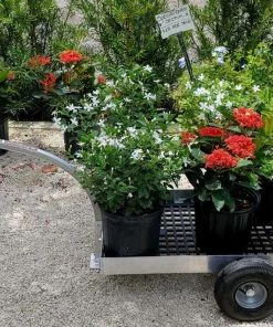 Alumacart 37in 2 Wheel UV Deck Wagon -SUNFLOW Shop cfd1801c458fd4388babae17605171f7 62263.1669762352