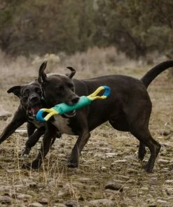 Ruffwear™ Pacific Loop™ Toy - Sockeye Red -SUNFLOW Shop e5249f71cbdba4e4e9037041756ea2e2 93971.1669784560