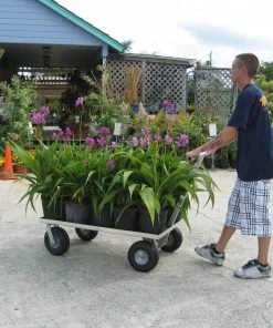 Alumacart 45in Push Wagon -SUNFLOW Shop fc4cd9f99f2ed8f5e35c849b329f118b 32027.1669762158